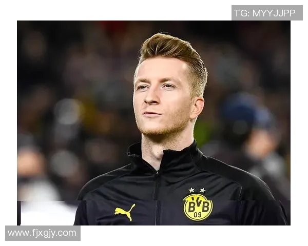 足球明星帅哥罗伊斯的传奇之路与场上风采全解析